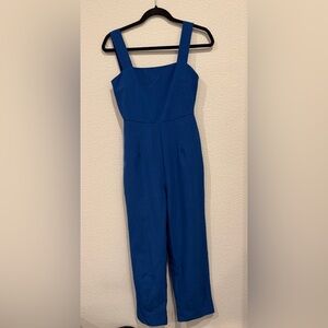 Aritzia Babaton jumpsuit